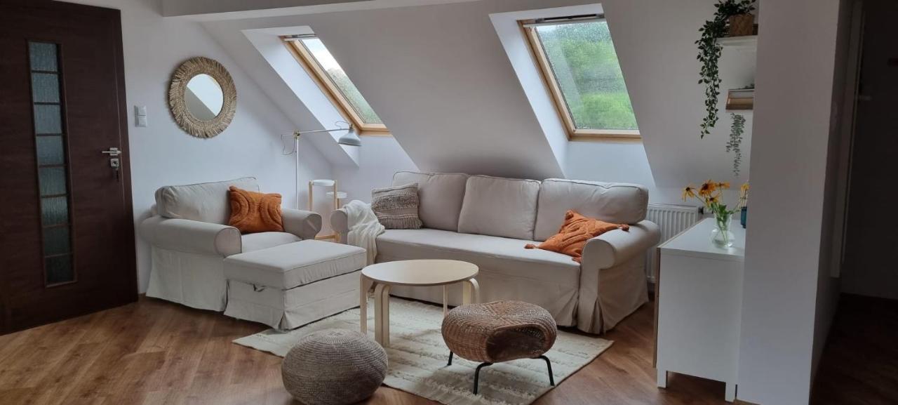 Apartament W Centrum - Nasze Poddasze ウストシキ・ドルネ エクステリア 写真